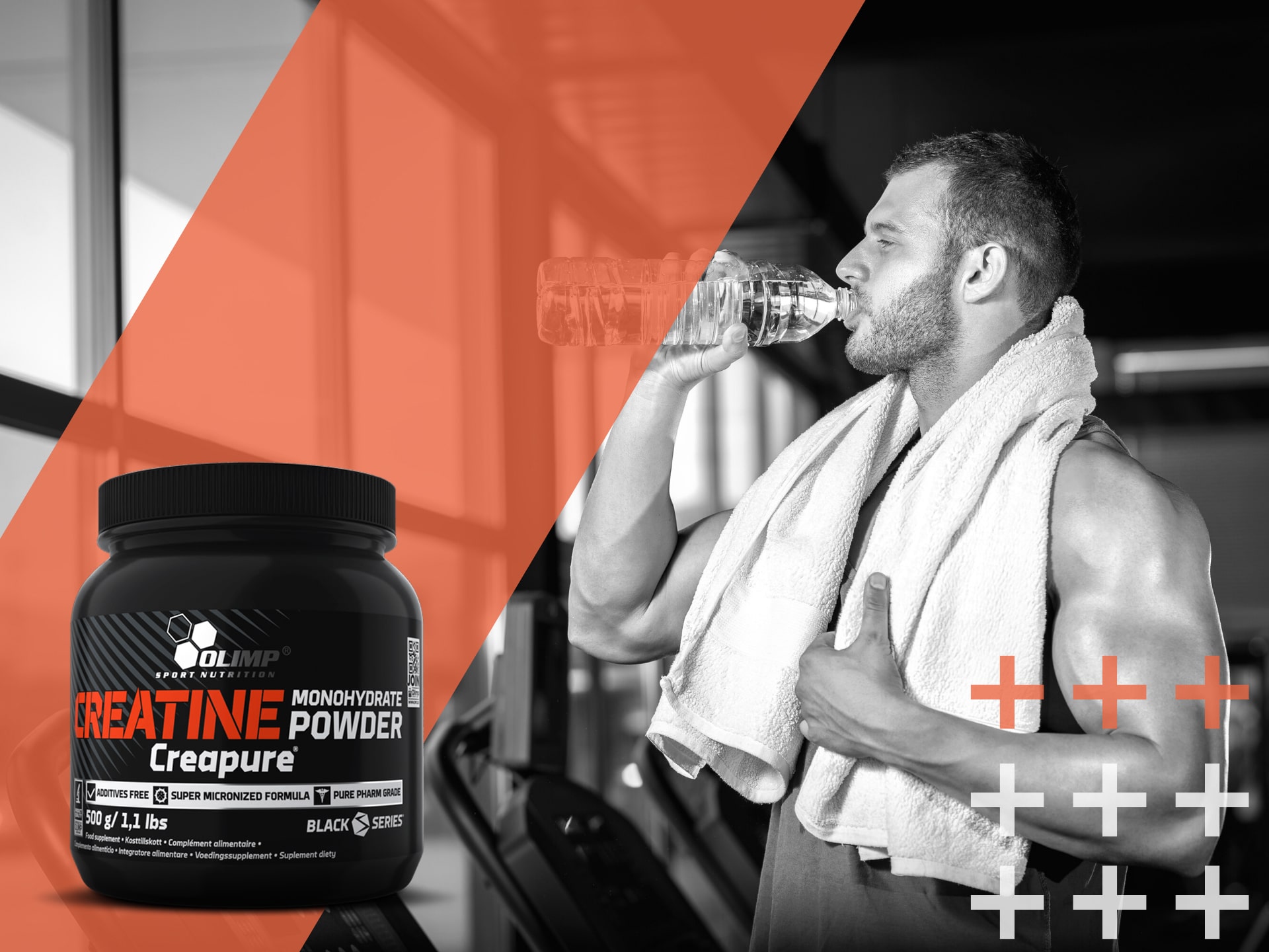 creatine monohydrate síla výdrž