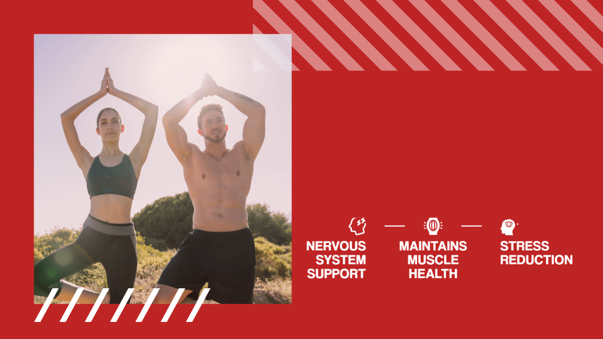 Hořčík + Vitamín B6 - podpora zdravého spánku, relaxace, proti křečím ZMA