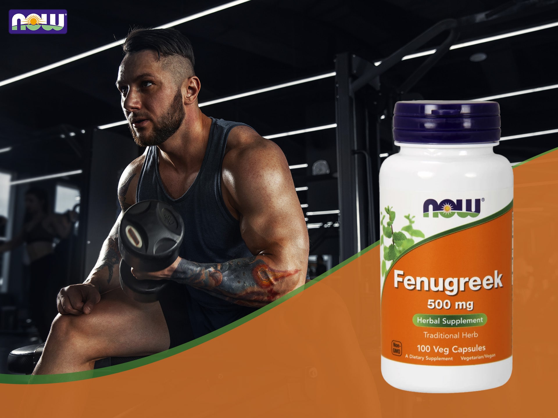 NOW - Fenugreek - extrakt z pískavice - regulace hormonálního systému, testosteron booster