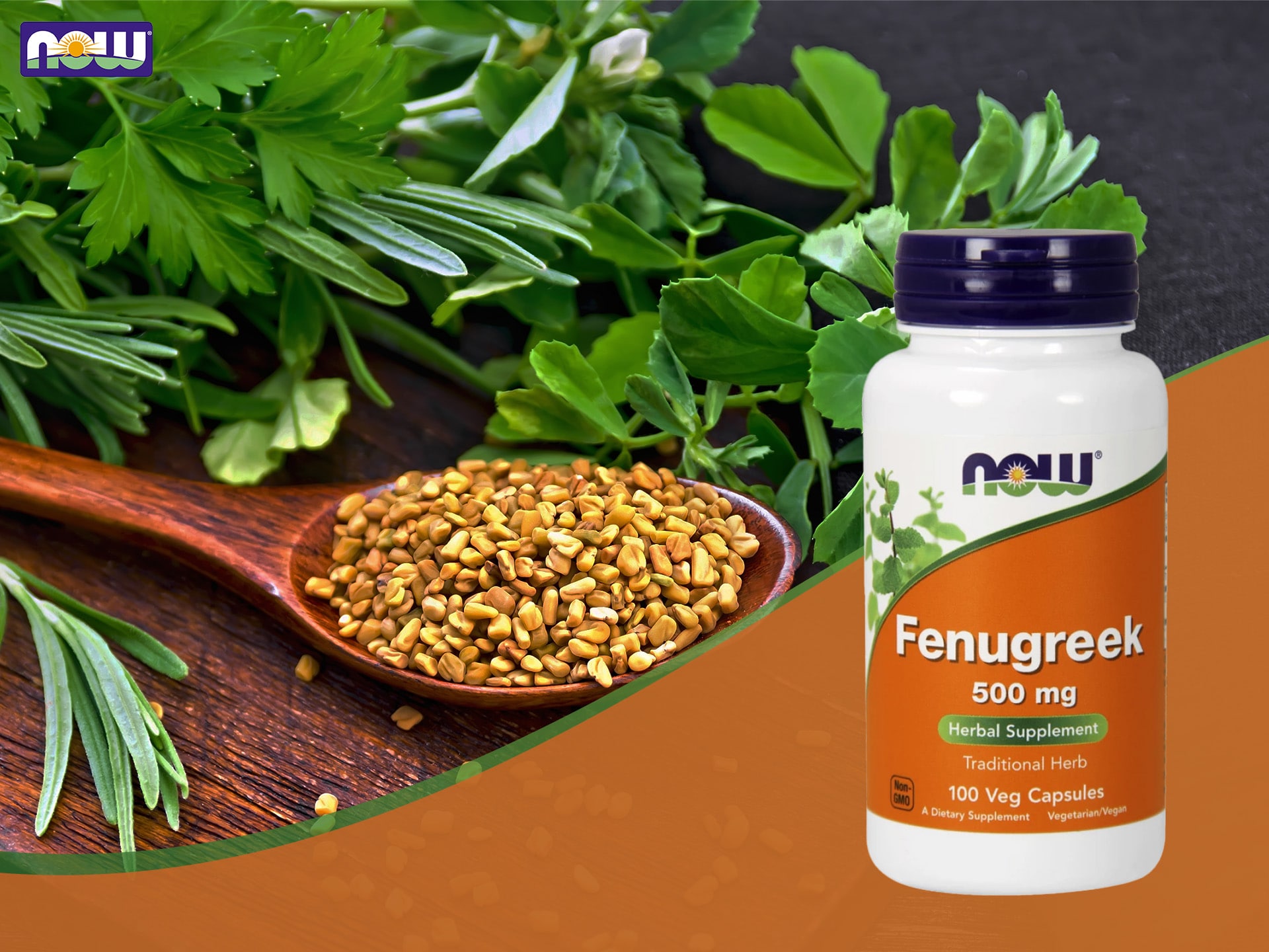 NOW - Fenugreek - extrakt z pískavice - regulace hormonálního systému, testosteron booster