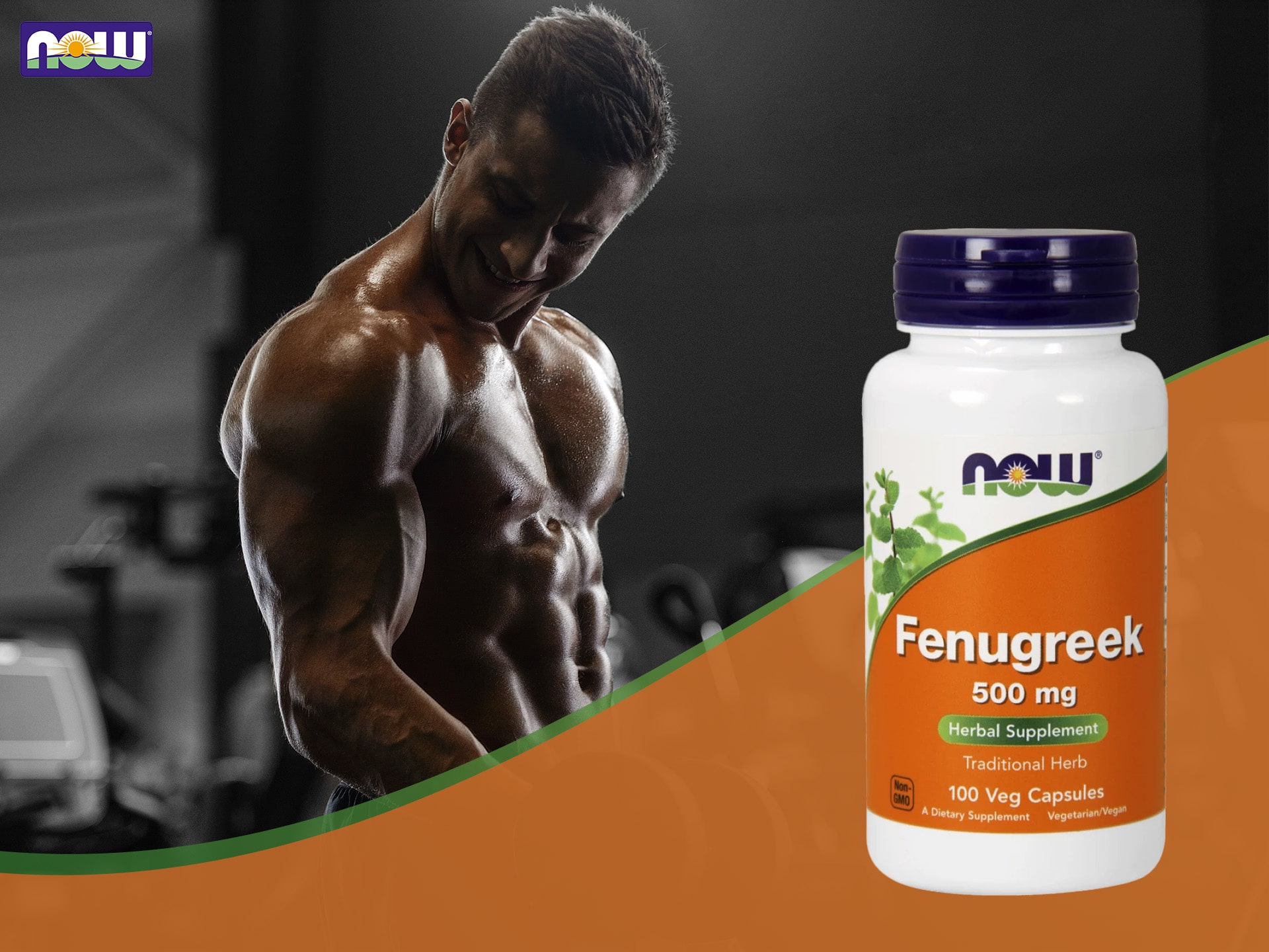 NOW - Fenugreek - extrakt z pískavice - regulace hormonálního systému, testosteron booster