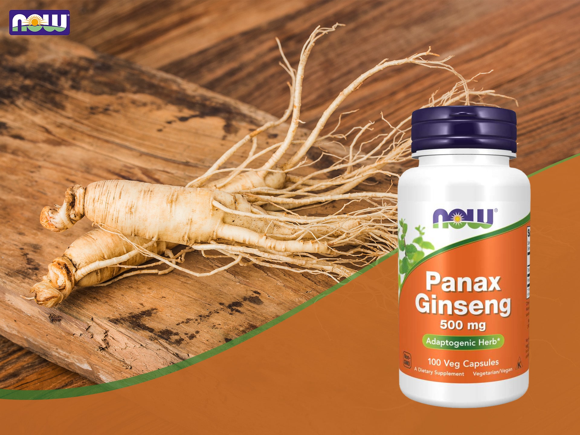 Panax Ginseng - ženšen - adaptogen, podpora práce mozku, energie