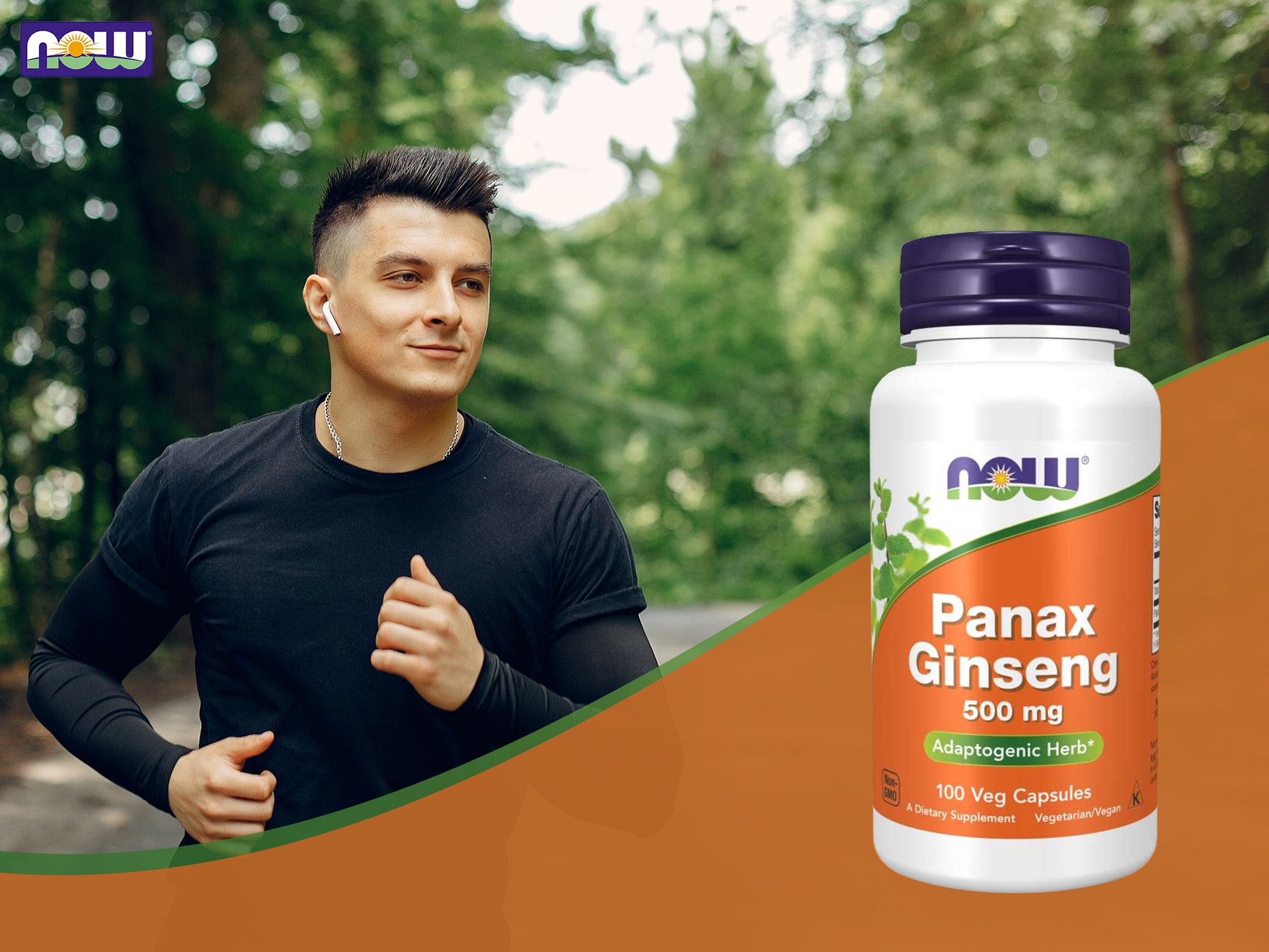 Panax Ginseng - ženšen - adaptogen, podpora práce mozku, energie