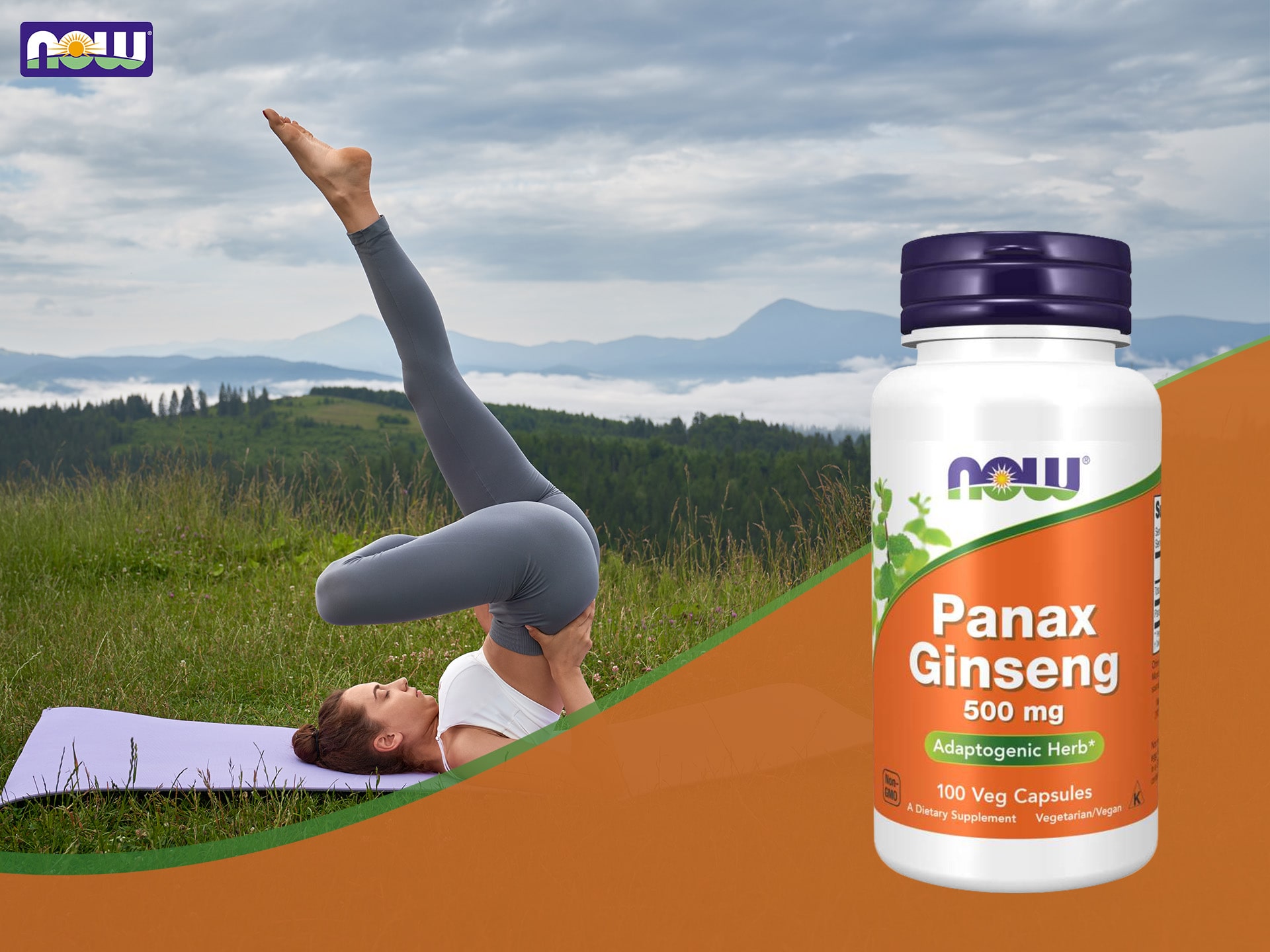 Panax Ginseng - ženšen - adaptogen, podpora práce mozku, energie