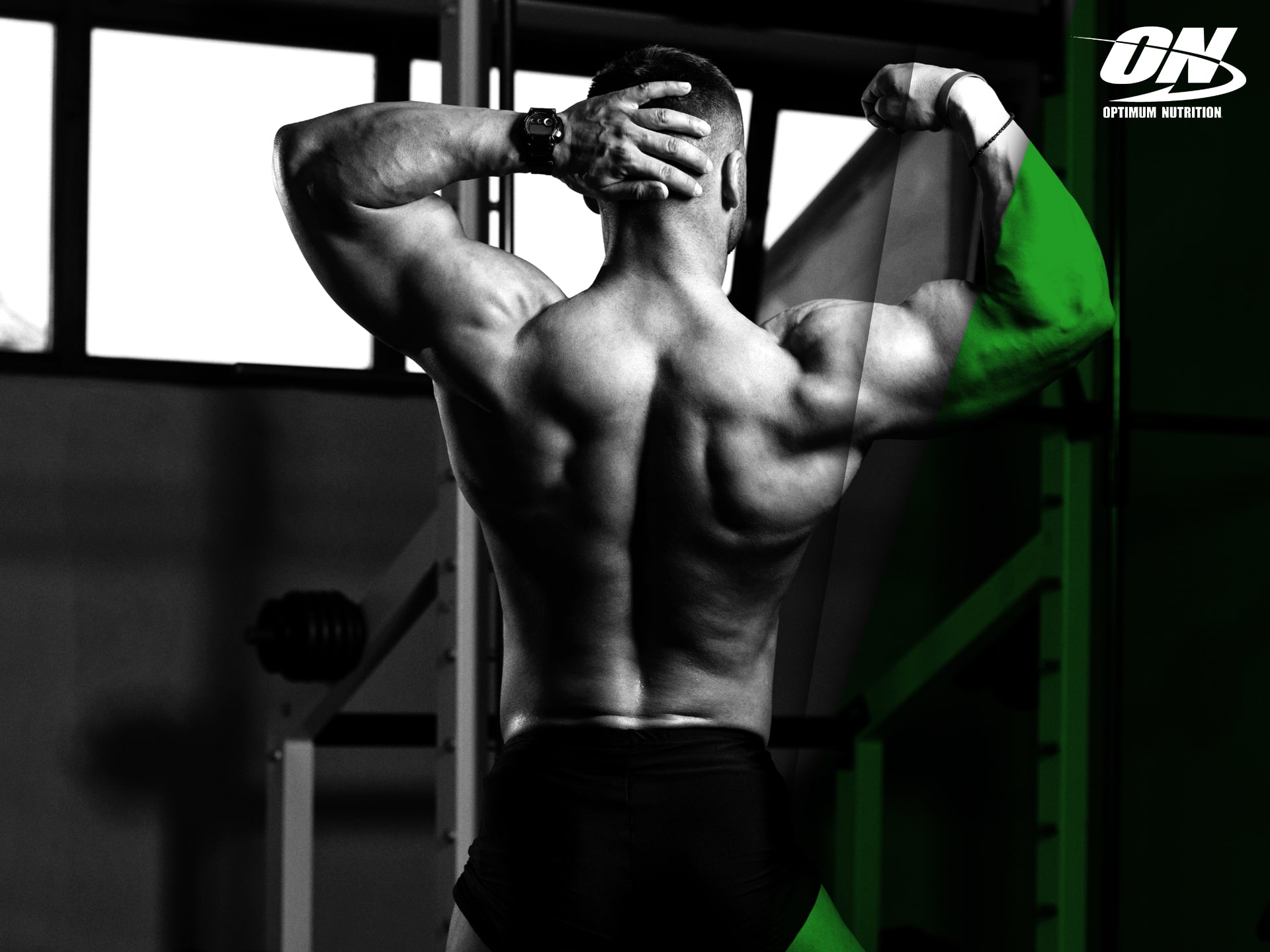 Optimum Nutrition - monohydrát kreatinu v prášku