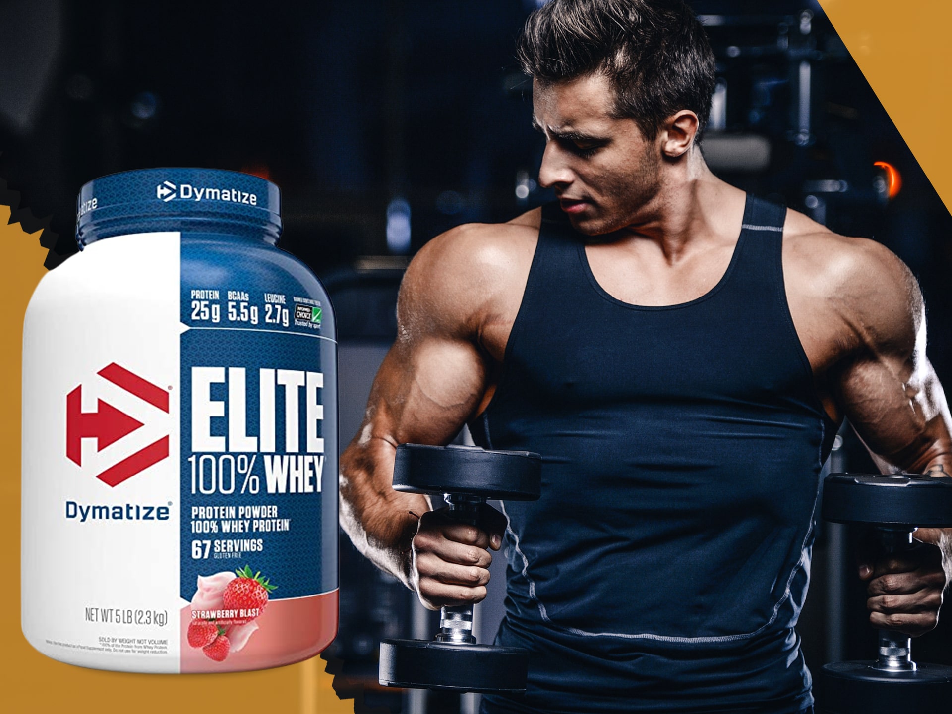 Dymatize Elite Whey Protein matrix bílkovin