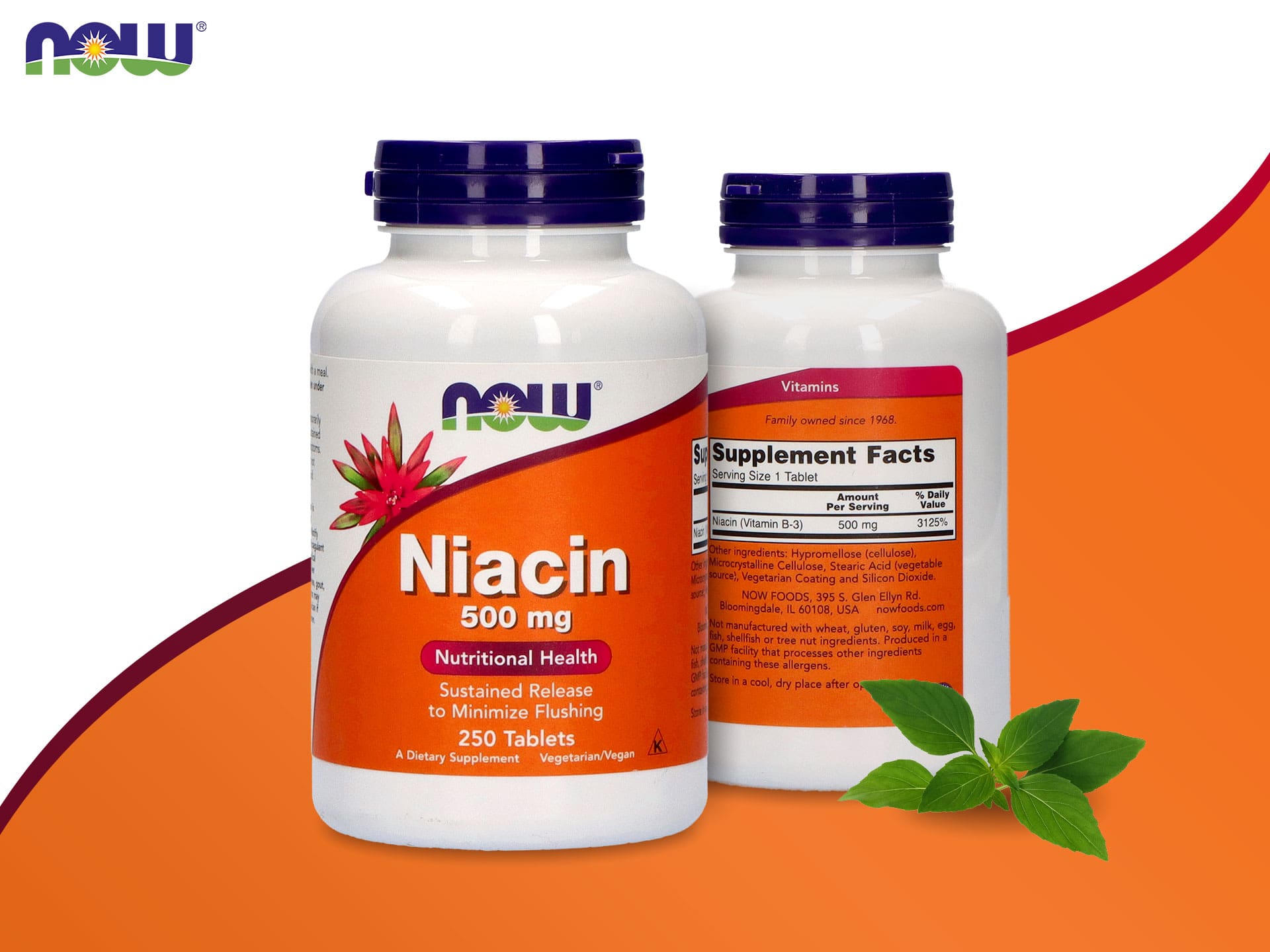 NOW Vitamin B3 Niacin 500mg