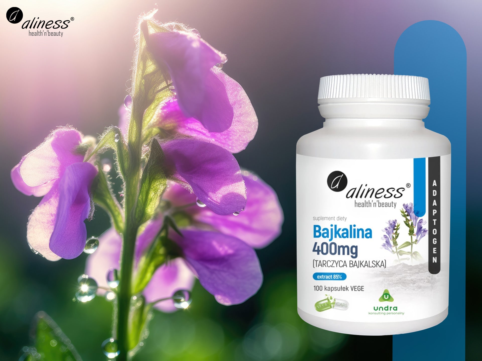 Aliness - Bajkalina - adaptogen, antioxidant, podpora organismu, kloubů a svalů