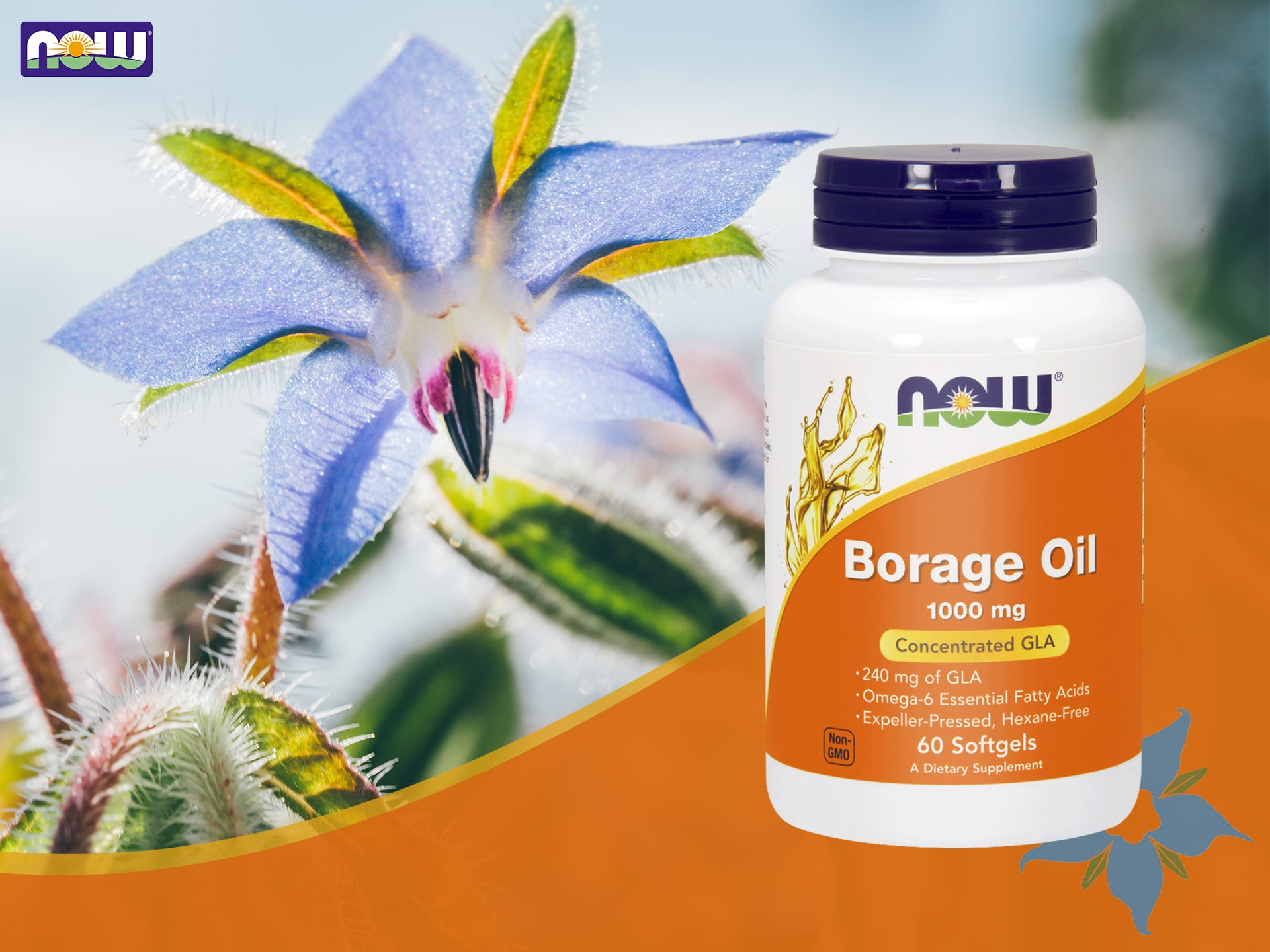 Now Borage oil 1000mg