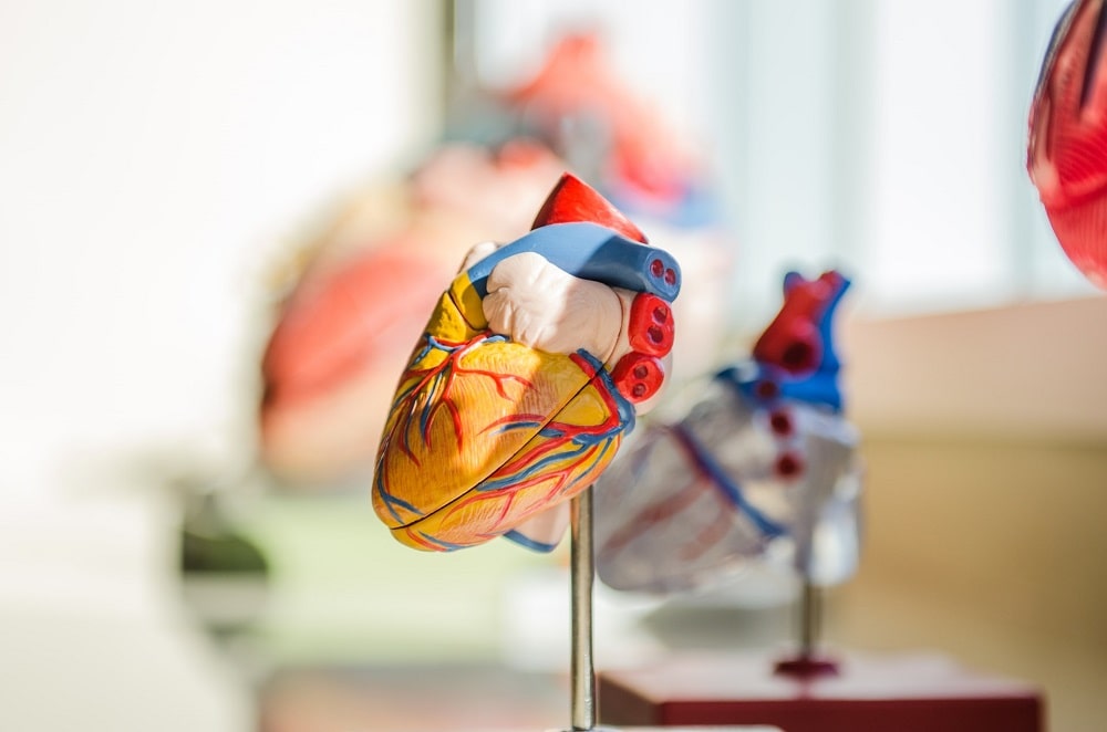 Krev Žíly Ateroskleróza Vysoký Nízký Cholesterol