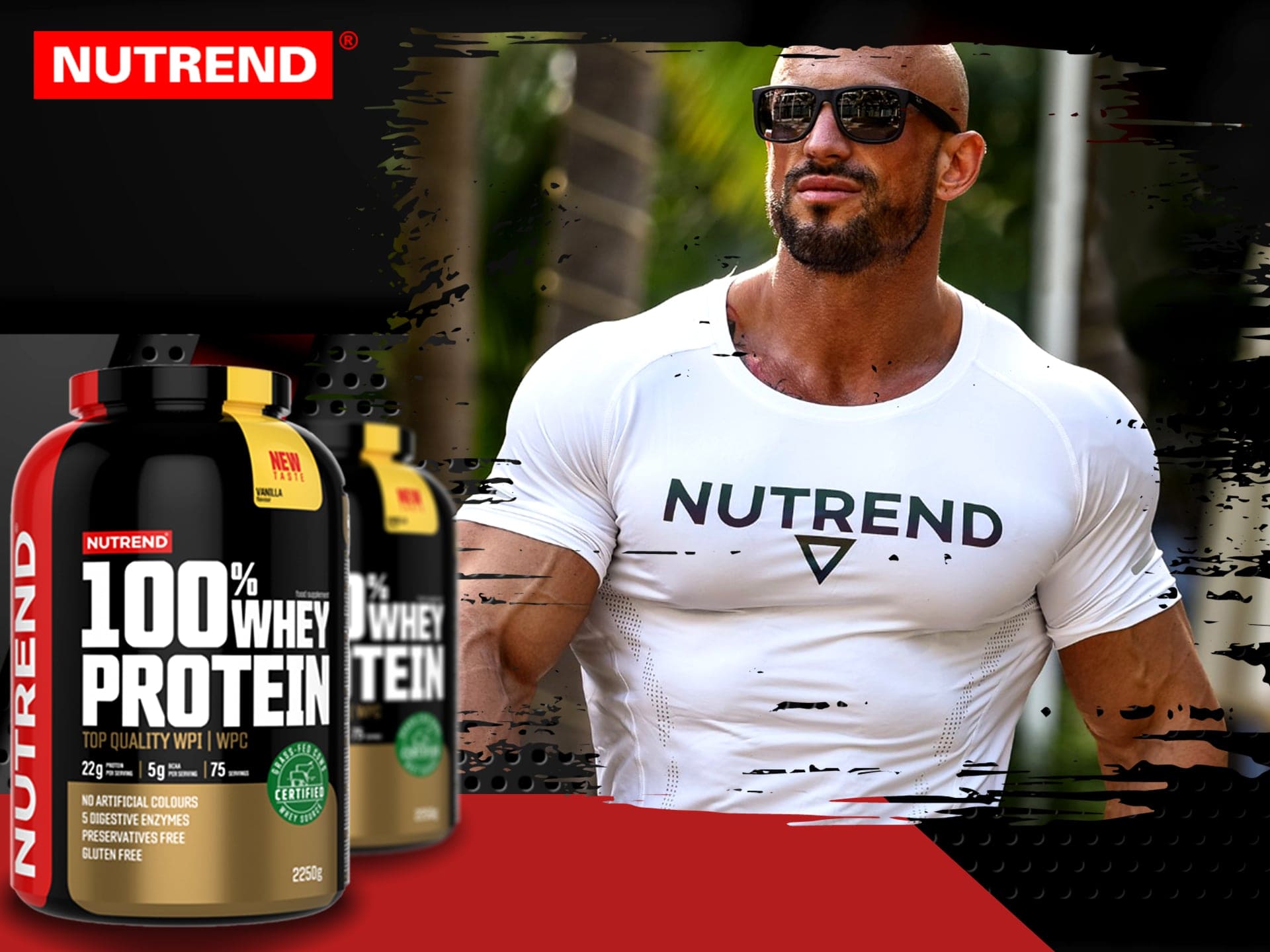 Protein Whey Protein