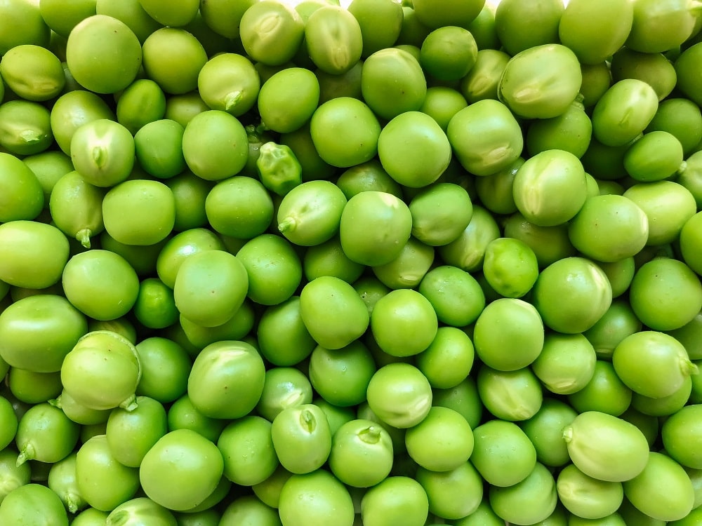 Bílkovina Vegan