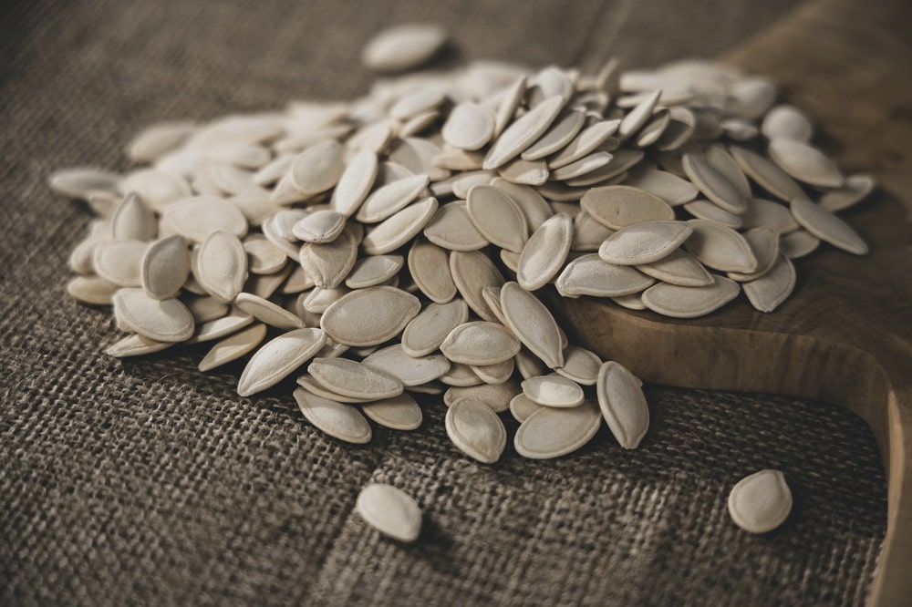 Vegan Protein