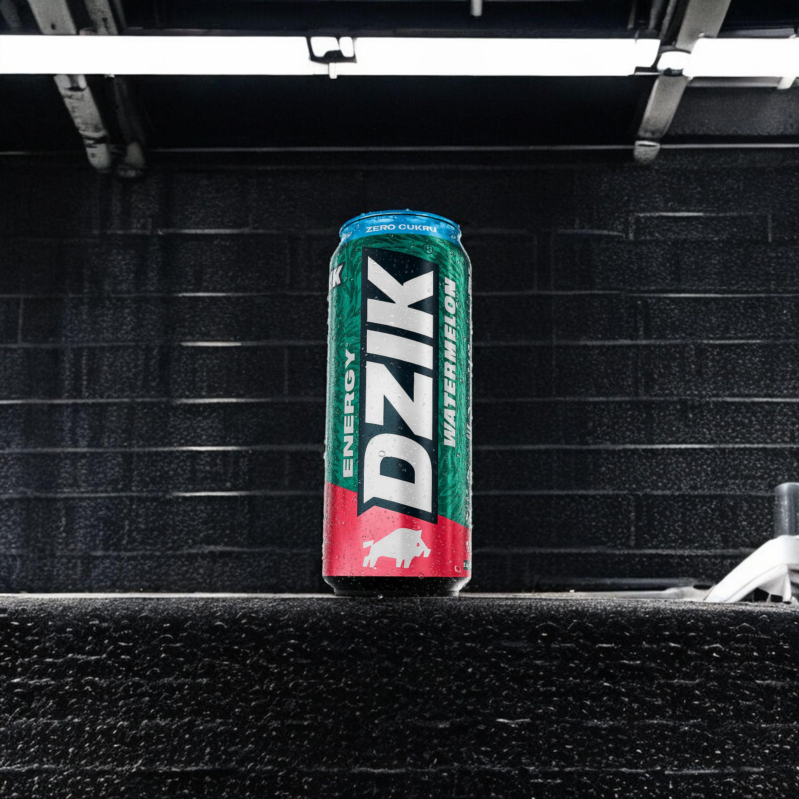 DZIK Energy 24x 500ml