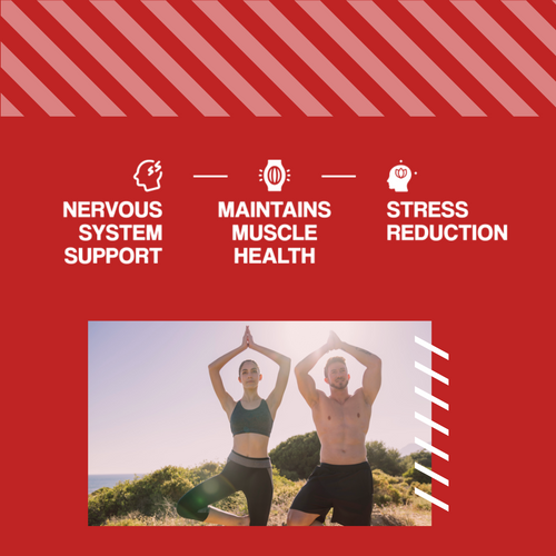 MP NUTRITION Mg + B6 - 90tabs - Hořčík + Vitamín B6