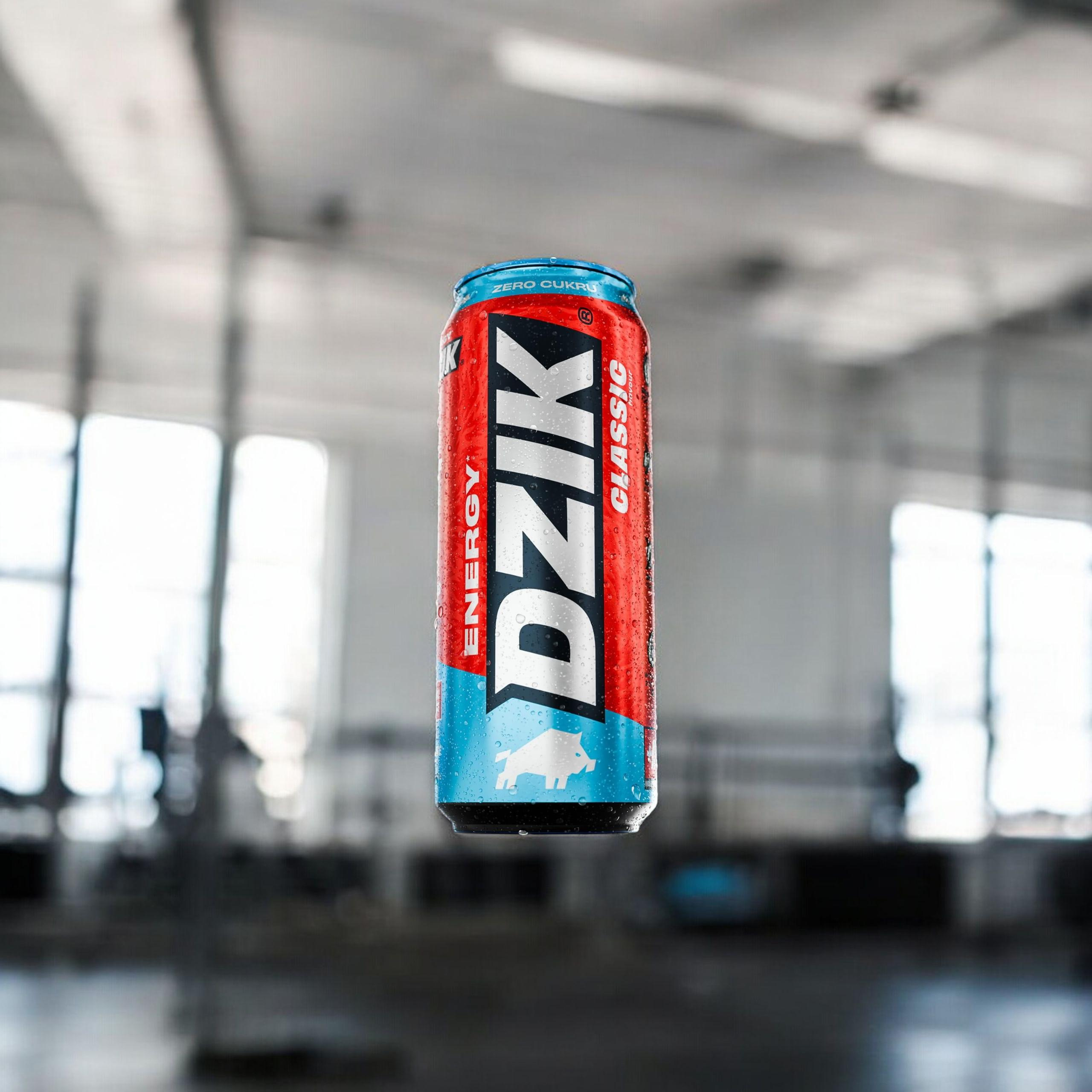 DZIK Energie 24x 500ml