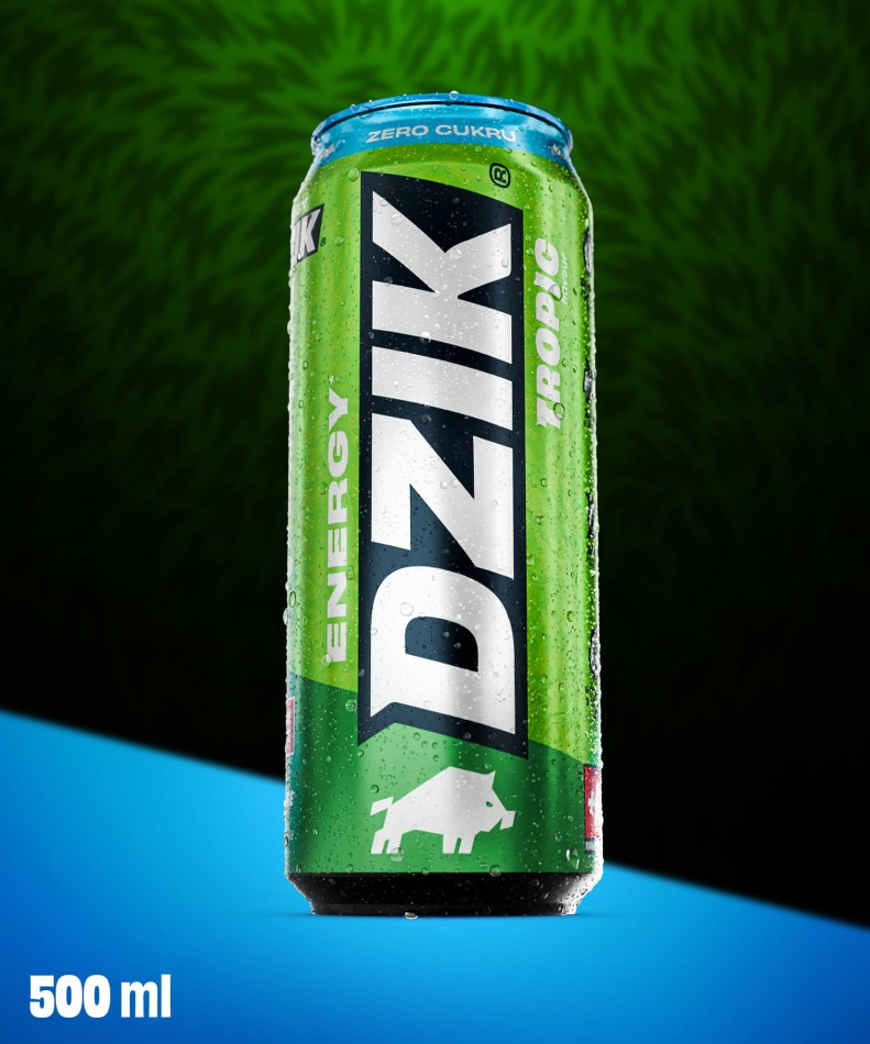 DZIK Energie 24x 500ml