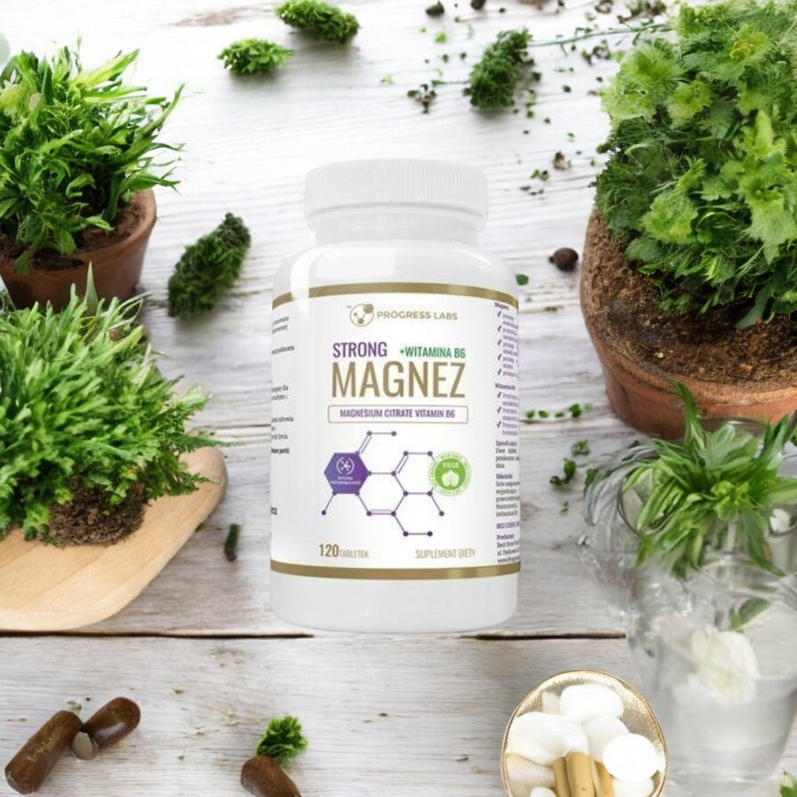 PROGRESS LABS - Hořčík Silný + Vitamin B6 350mg - 120 tablet.