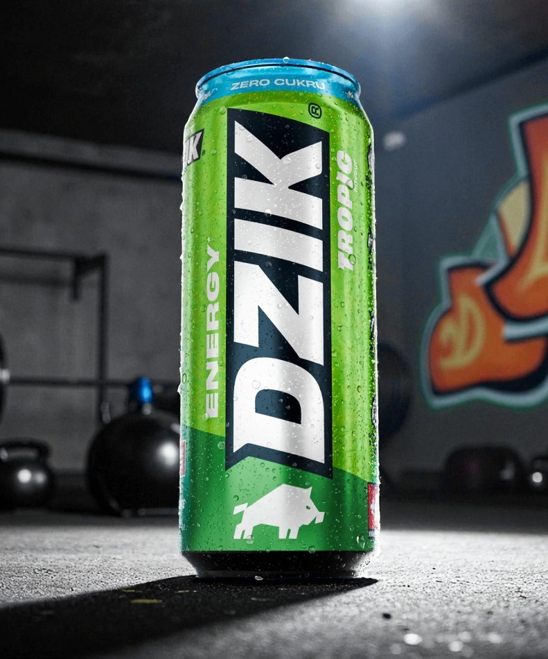 DZIK Energie 24x 500ml