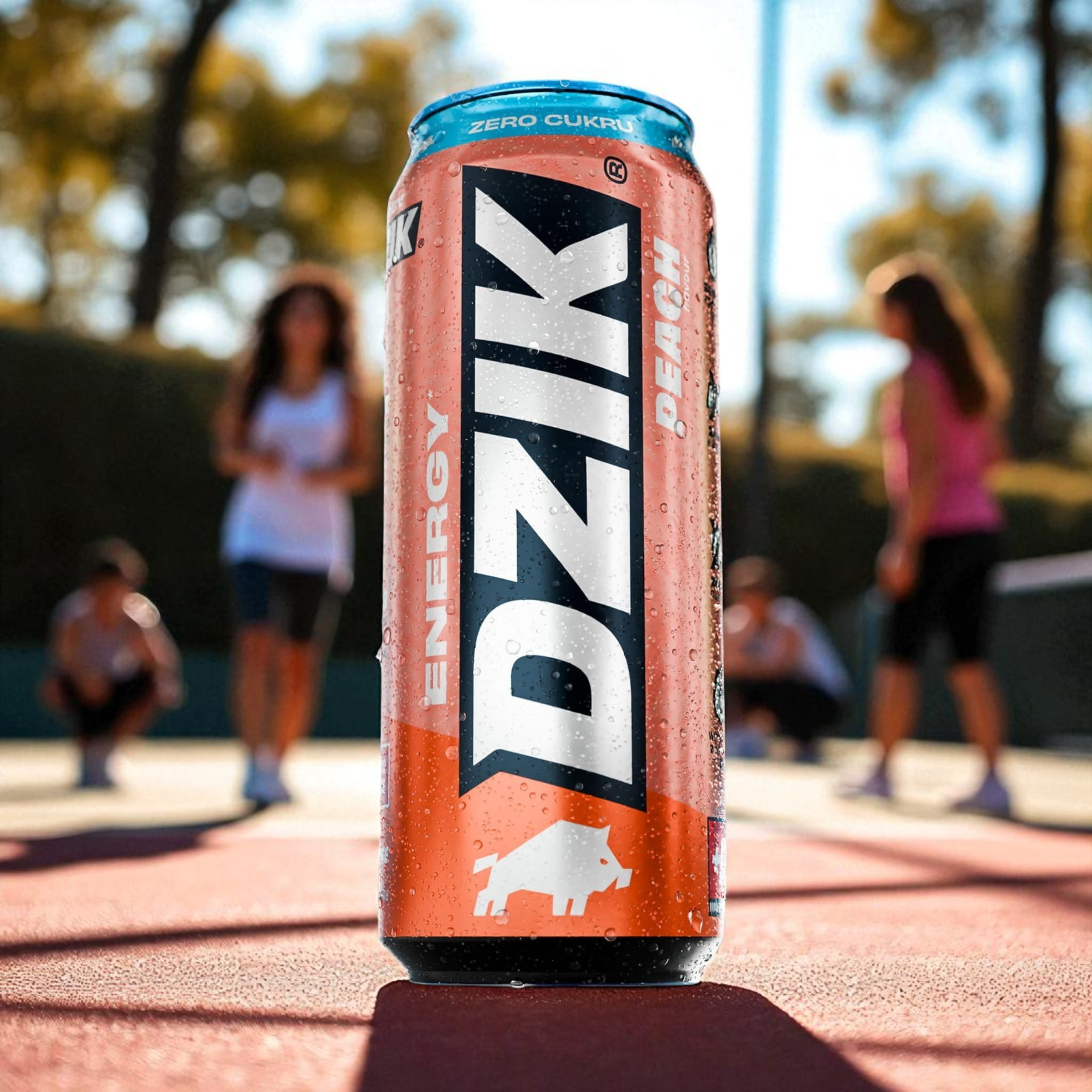 DZIK Energy 24x 500ml