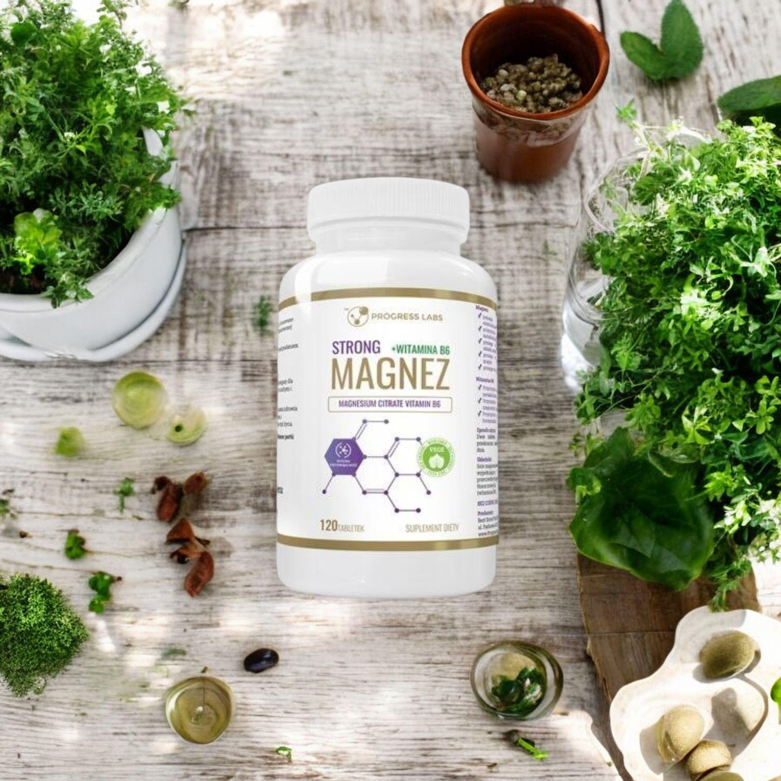 PROGRESS LABS - Hořčík Silný + Vitamin B6 350mg - 120 tablet.