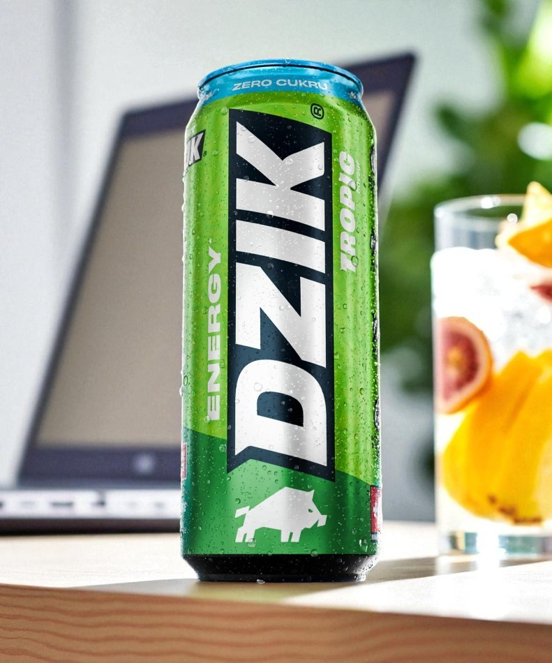 DZIK Energie 24x 500ml