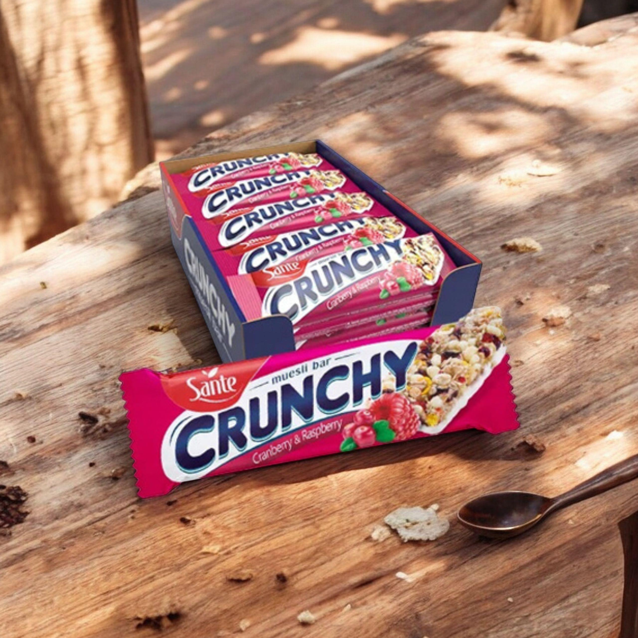 SANTE Baton Crunch - 25x 40g