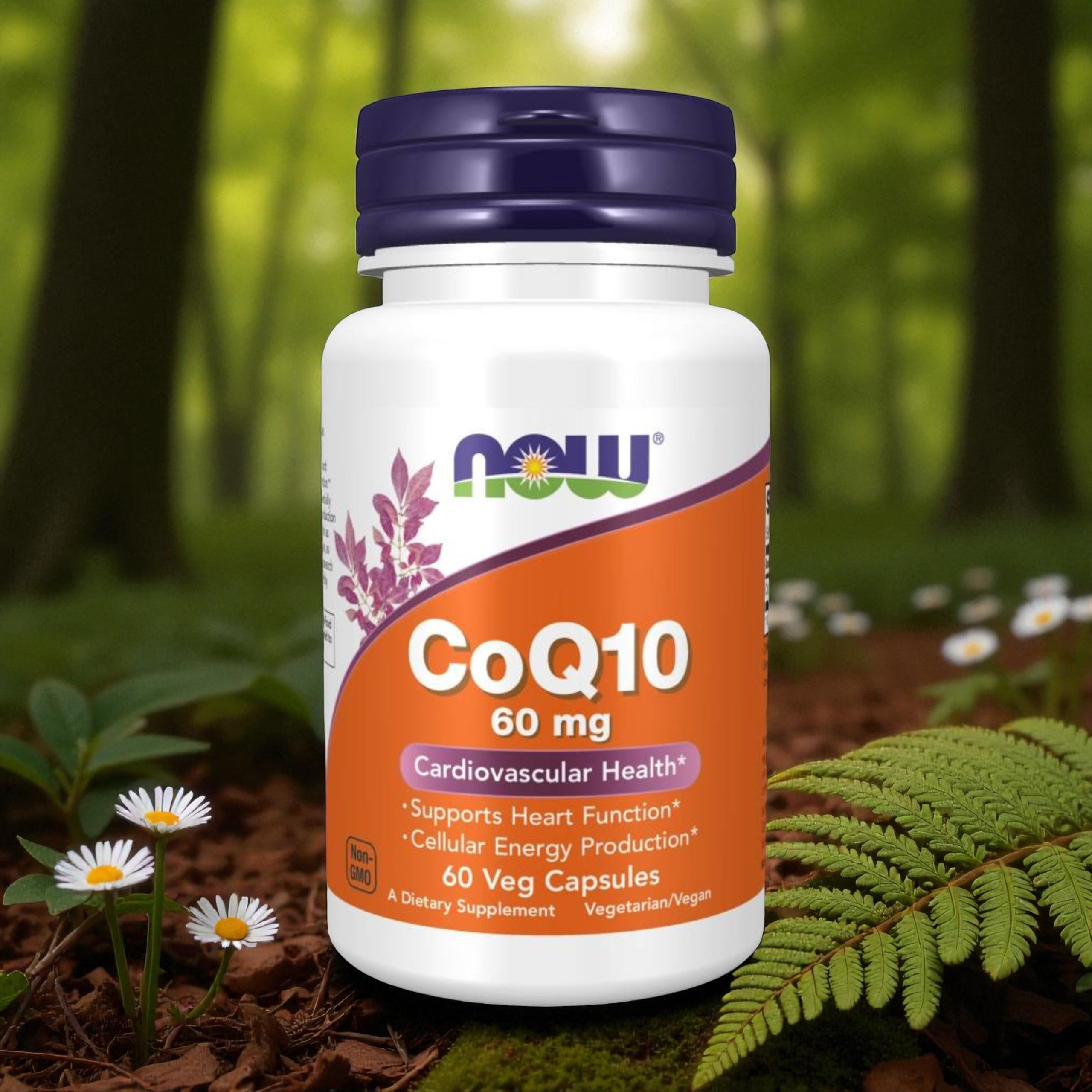 NOW - CoQ10 60mg - 60 rostlinných kapslí.
