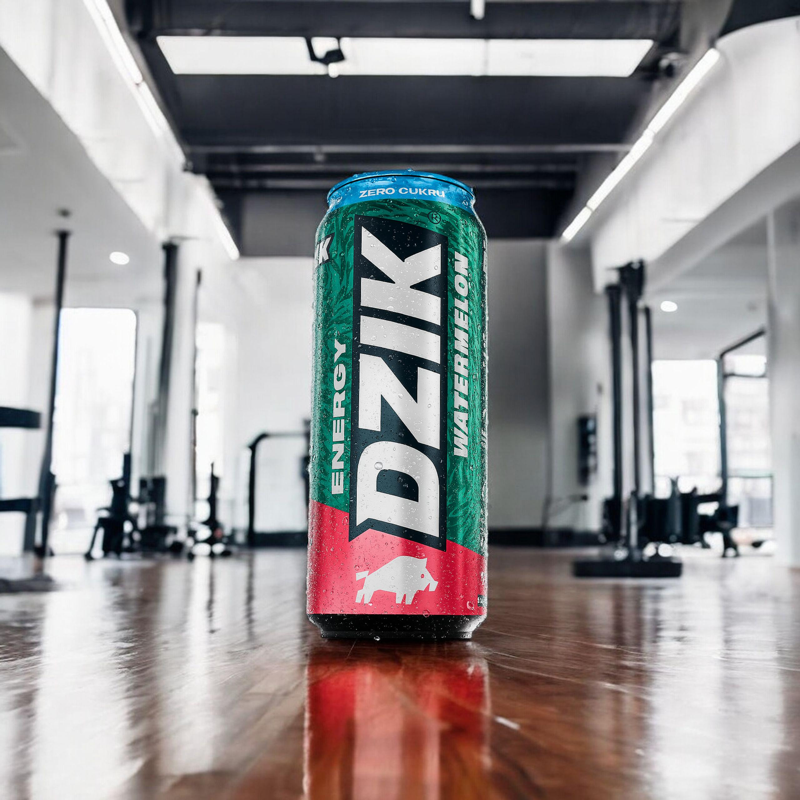 DZIK Energy 24x 500ml