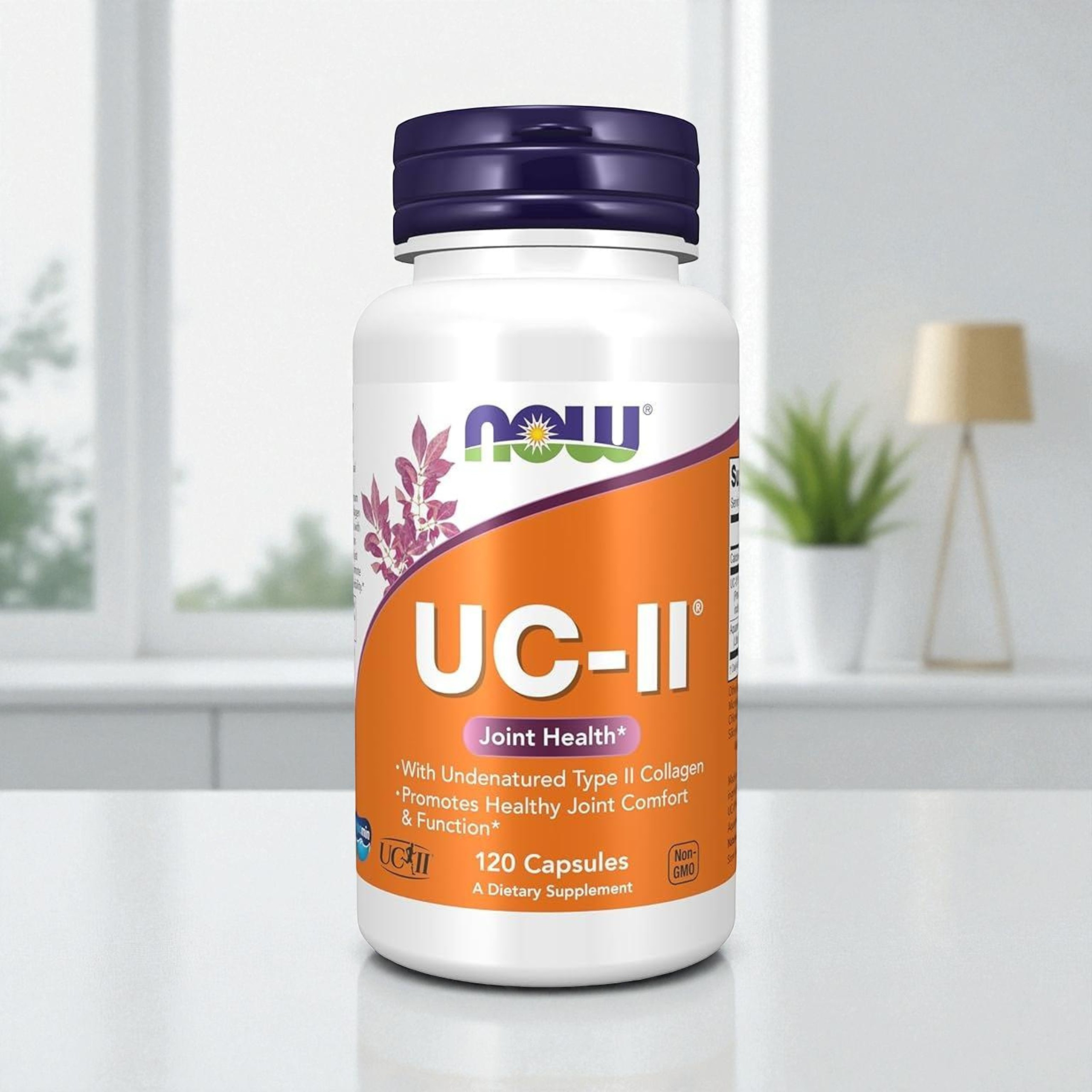 NOW - UC-II Kolagen Typu II 40mg - 120 rostlinných kapslí. pol_pl_NOW-UC-II-Collagen-Type-II-40mg-120vcaps-43042_3